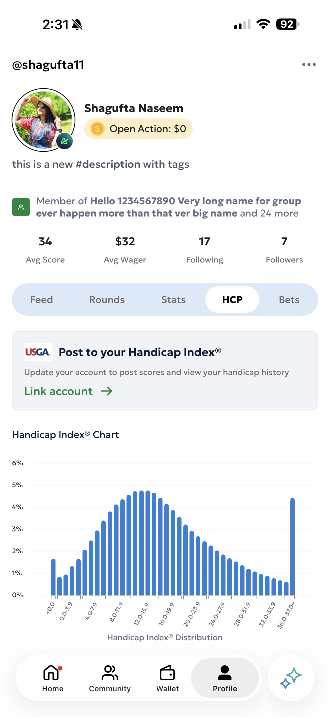 The Profile tab showing the handicap index displayed below the user's name, with a tap target